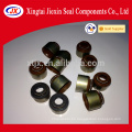 Auto Parts Parts Seals Valve Stem Seal in Seals